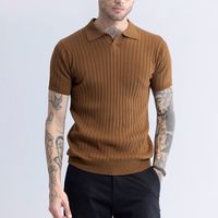 Sleek Striped Brown Polo T-Shirt - View 2